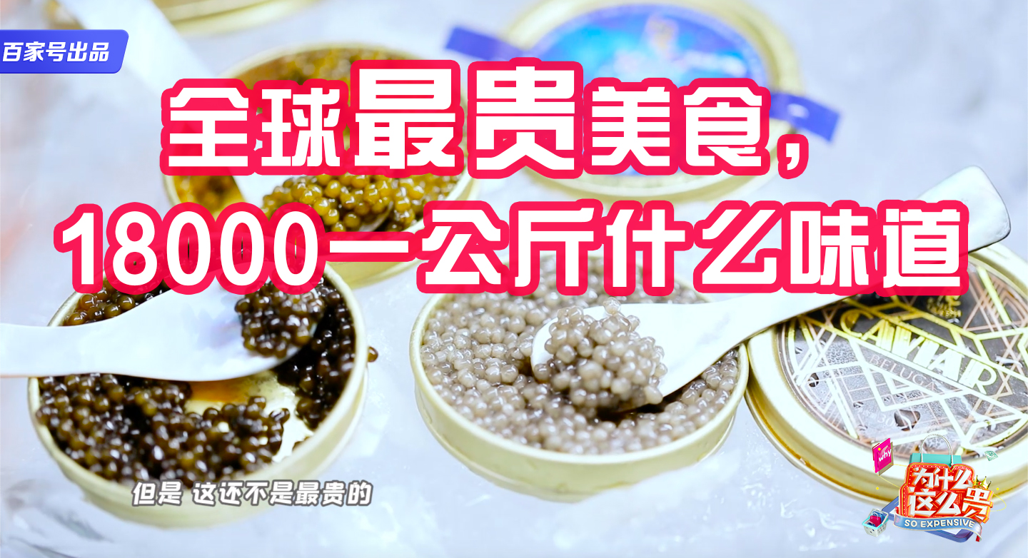 全球最贵美食!18000一公斤什么味道?