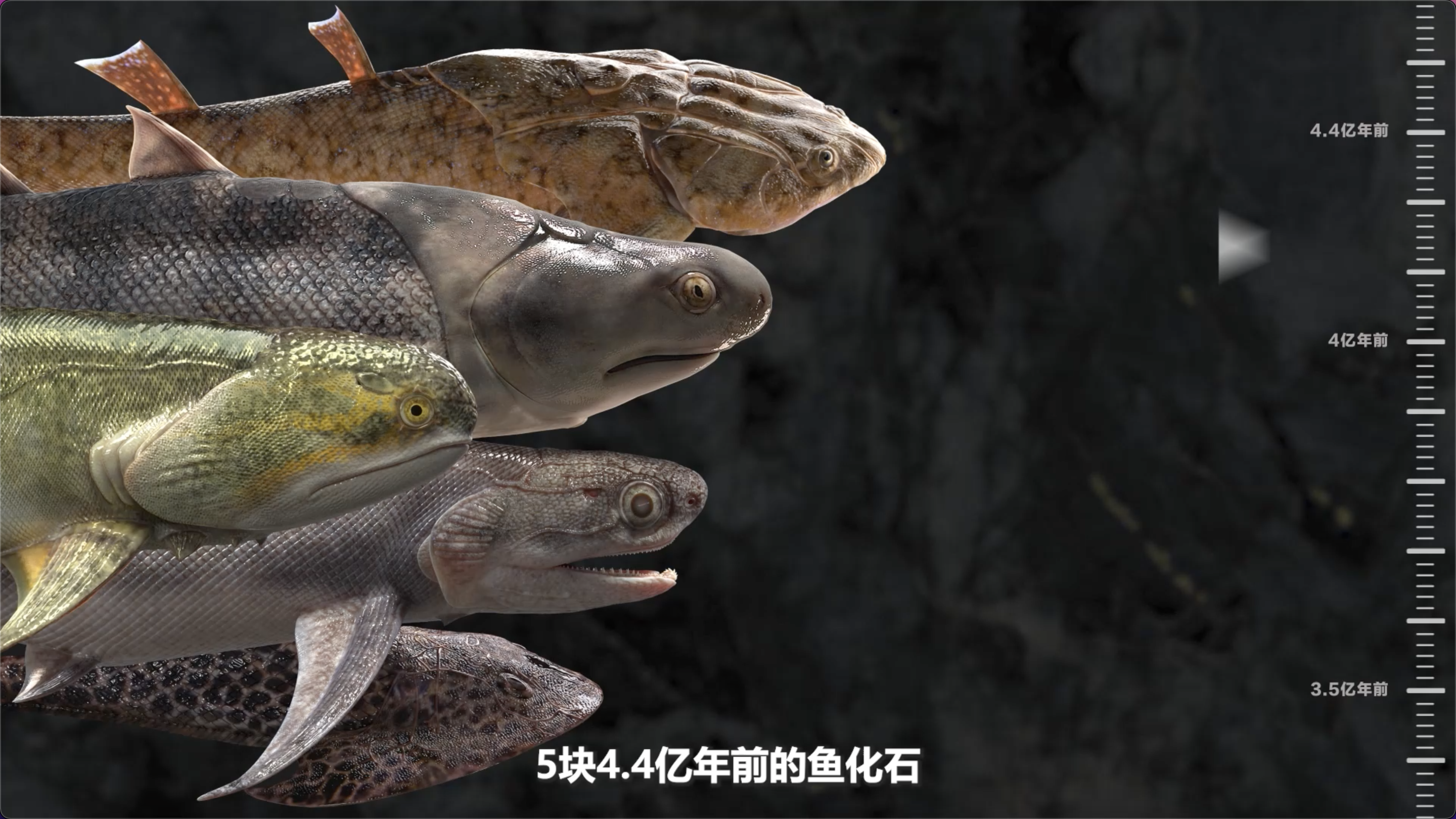 “当咸鱼”成流行？最新研究找到4亿年前的人类的鱼类祖先！