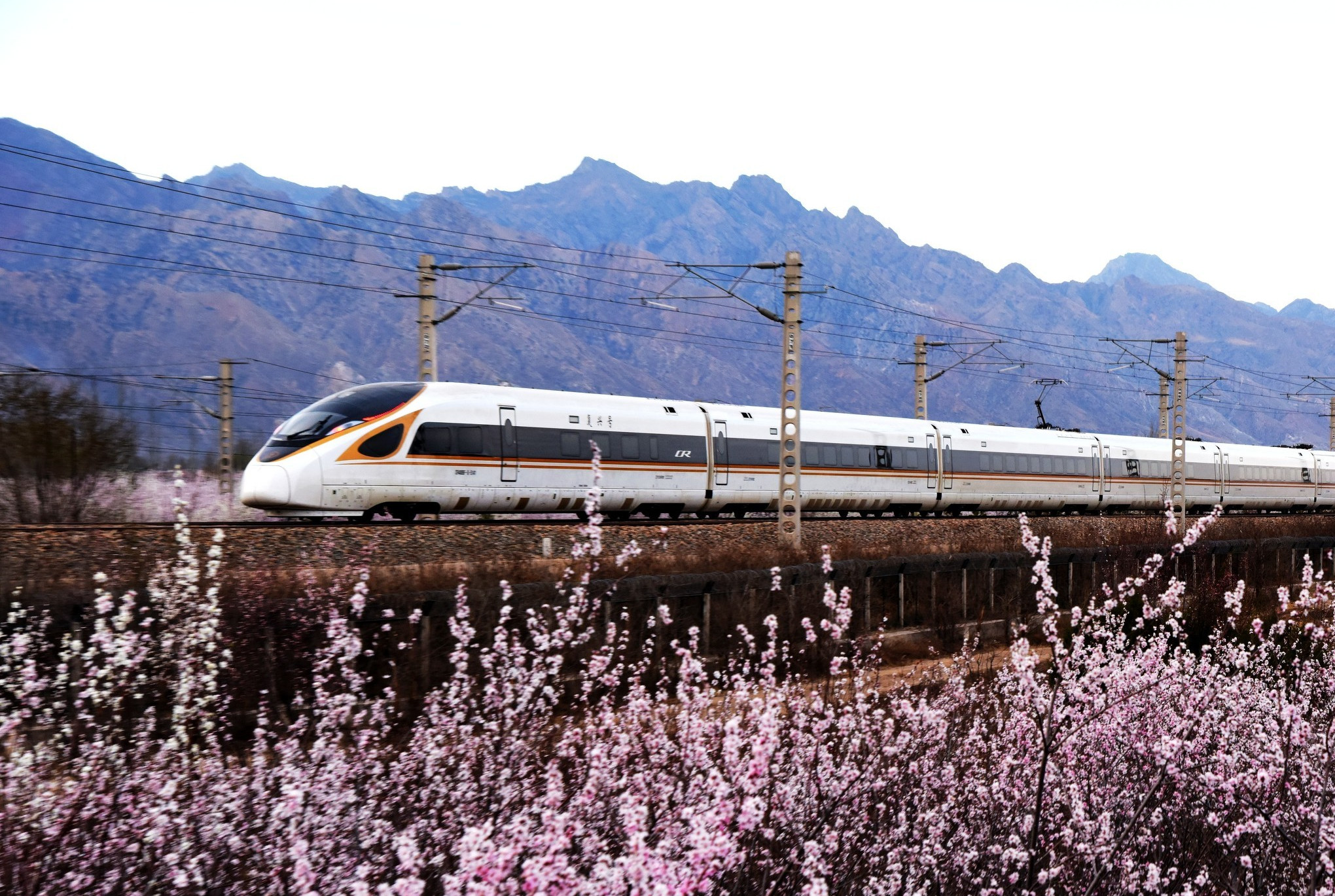 京呼高铁复兴号飞越花海